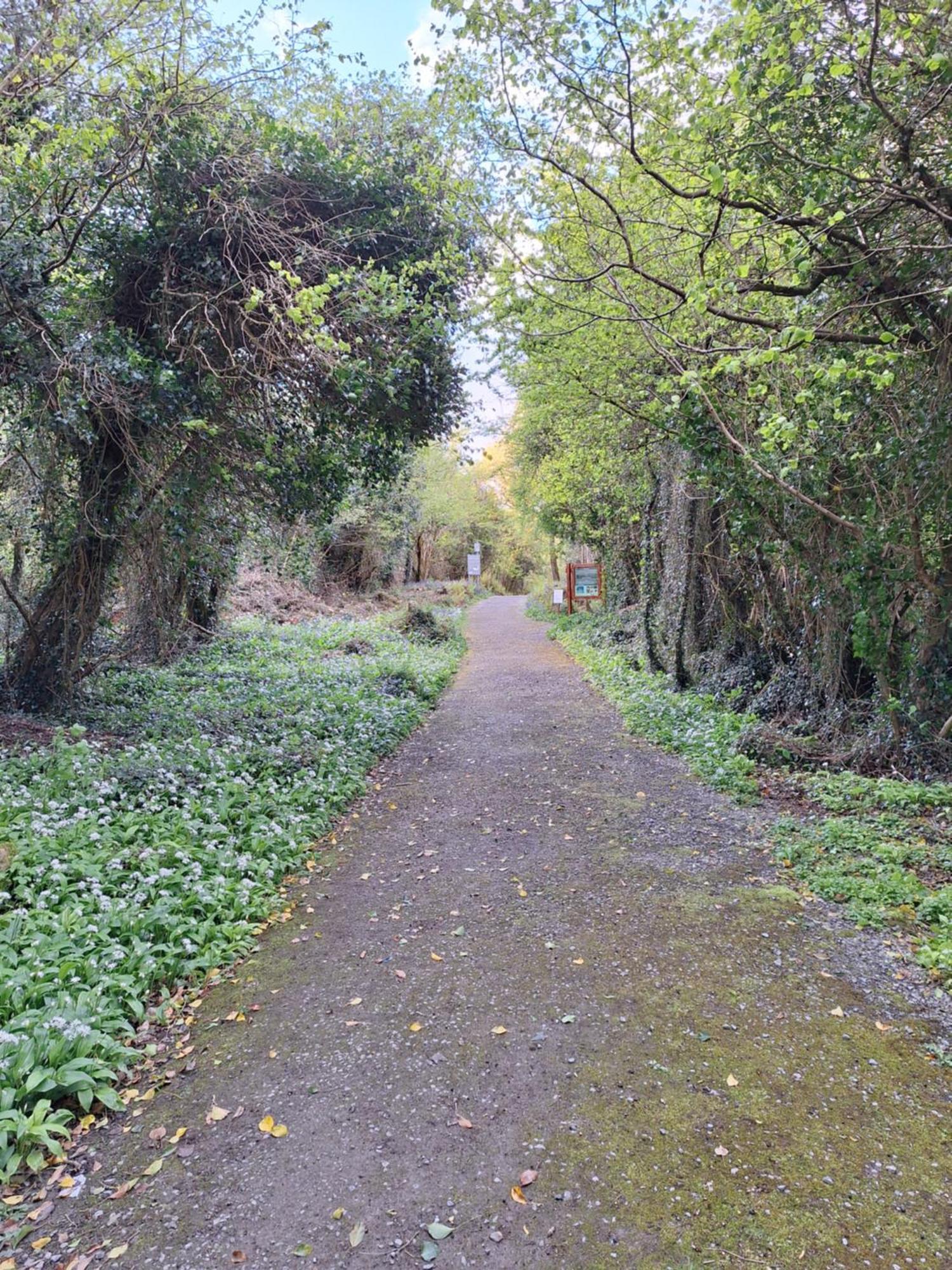 Ard Aoibhinn Roscommon Lecarrow Екстер'єр фото